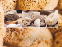 BROSSERIE POUR LE BAIN ET LE BIEN ÊTRE